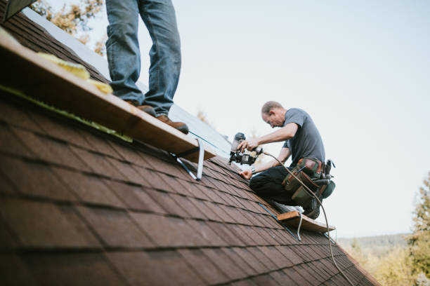 Quick and Trustworthy Emergency Roof Repair Services in White Bear Lake, MN